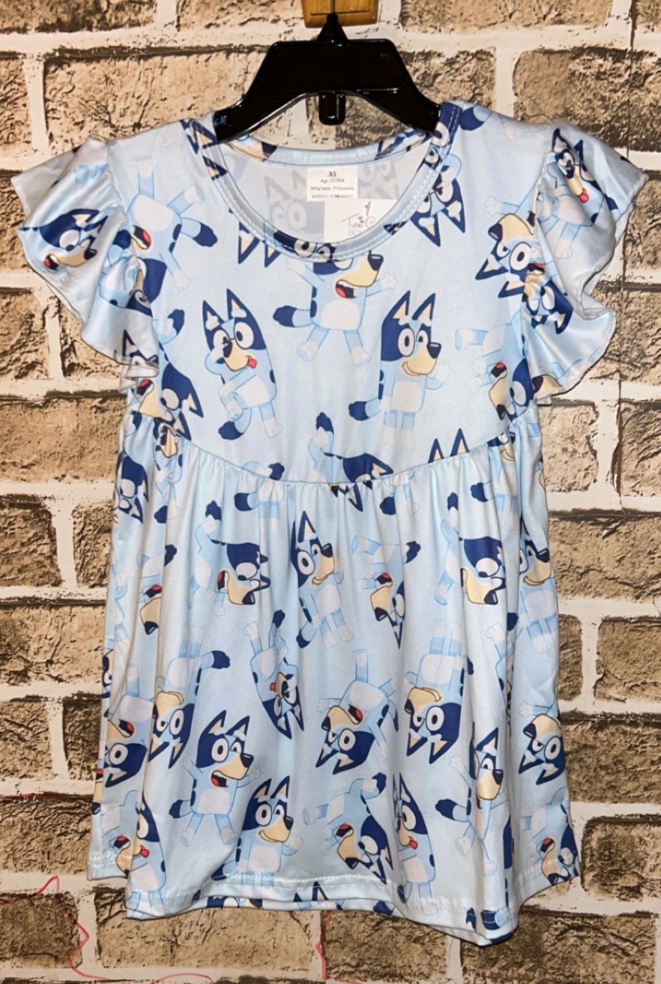 Bluey Dress
